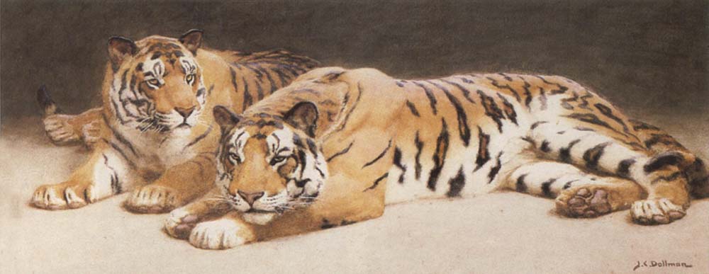 John Charles Dollman Two Wild Tigers